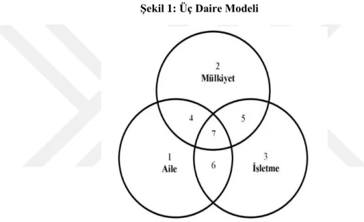 Şekil 1: Üç Daire Modeli 