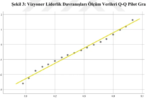 Tablo 6: Veri Seti Basıklık ve Çarpıklık Değerleri 