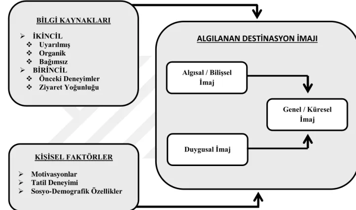 Şekil 2.4.: Beerli ve Martin Model Şeması 