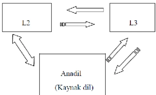Şekil 2. 1. Dil Bağlantıları (Tzur-Bar, 2000: 3)  