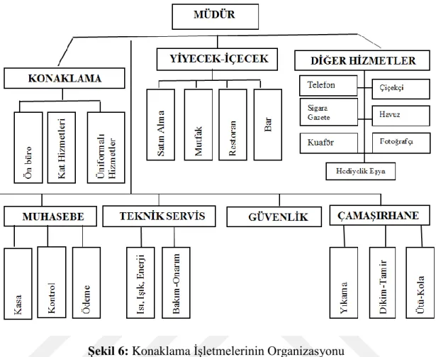 ġekil 6: Konaklama ĠĢletmelerinin Organizasyonu  Kaynak: Gezen, 2012: 22. 