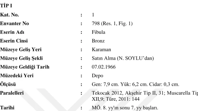 Fig. 1: 798 Envanter Numaralı Fibula 