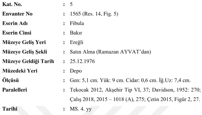 Fig. 5: 1565 Envanter Numaralı Fibula 