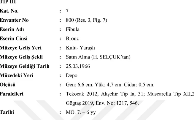 Fig. 7: 800 Envanter Numaralı Fibula 