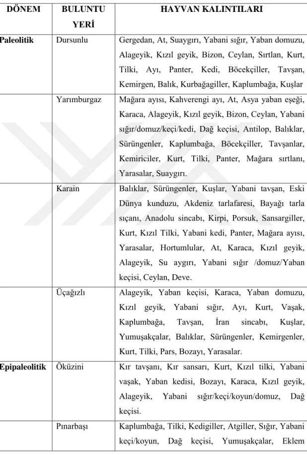 Tablo 3. Türkiye‟deki Eski YerleĢim Alanlarında Görülen Hayvan Kalıntıları (Özer,  Eren, 2018: 312-314) 