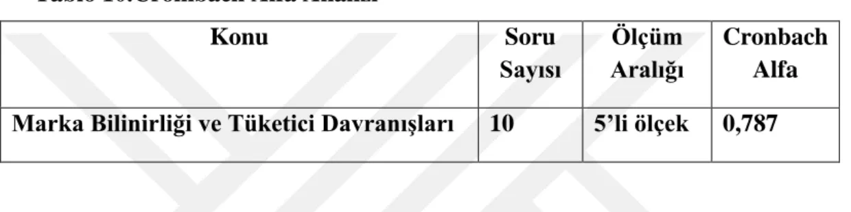 Tablo 10.Crombach Alfa Analizi 
