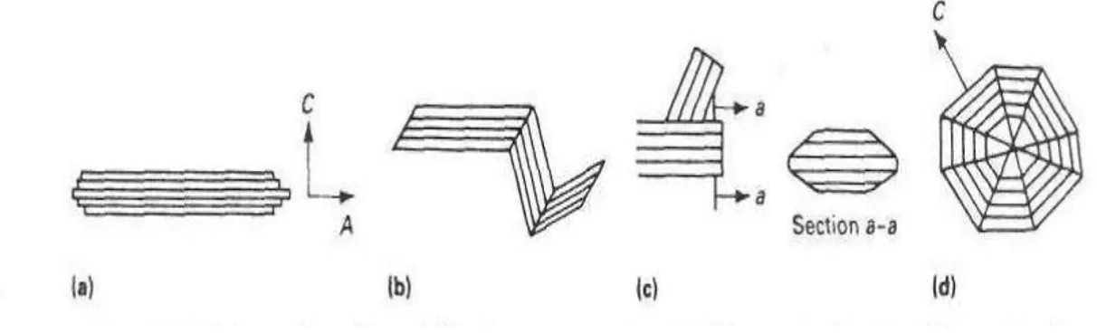 ġekil 2.1. Östenit-Grafit Ötektiğinde OluĢan Grafit ġekillerinin ġematik Gösterimi (a) Lamel Grafit (b)  Kompakt/Vermiküler Grafit (c) Koral Grafit (d) Küresel Grafit (Henning ve Mercer, 1992) 