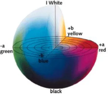 Şekil 3.1. CEILAB renk skalası 