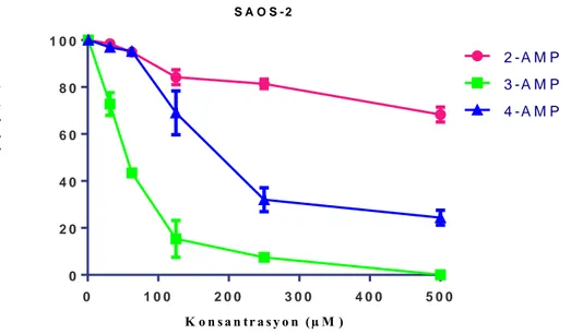Şekil 4.5. Saos-2 hücrelerinin 2-AMP, 3-AMP ve 4-AMP toz numuneleri ile 24 saat etkileşimi sonucunda  elde edilen XTT  sonuçları 