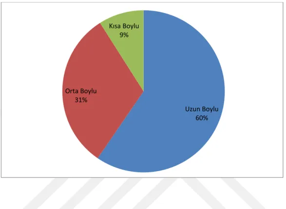 Grafik 3: 3306 Nüfus Defteri’ne Göre Aşiret Mensuplarının Boy Grafiği 