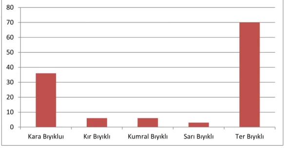 Grafik  5:  3306  Numaralı  Nüfus  Defteri’ne  Göre  Kişilerin  Bıyık  Özelliklerini  Gösteren Grafik 