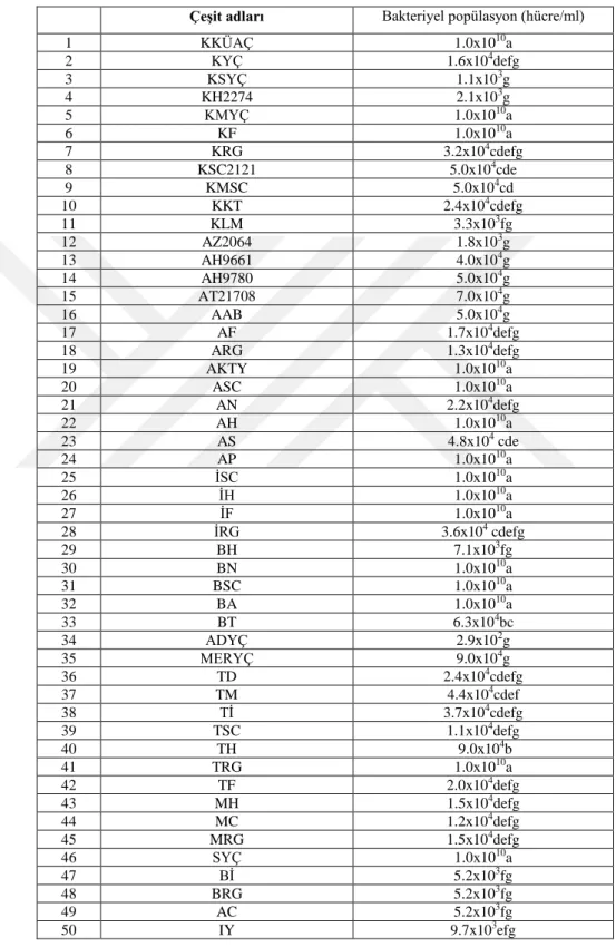 Çizelge 4. 1. Kullanılan tohumların çeşit adları ve bakteriyel popülasyonları  Çeşit adları  Bakteriyel popülasyon (hücre/ml) 