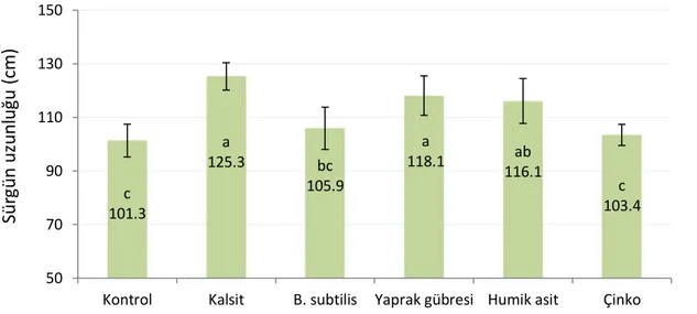 Şekil 4.1. Uygulamaların asma fidanlarında sürgün uzunluğu (cm) üzerine etkileri 