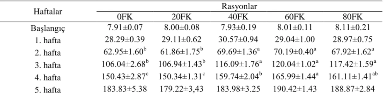Çizelge  4.1.  Japon  bıldırcınlarında  büyütme  dönemi  rasyonlarına  farklı  seviyelerde  fındık  küspesi  ilavesinin ortalama canlı ağırlık üzerine etkisi (g/bıldırcın) 
