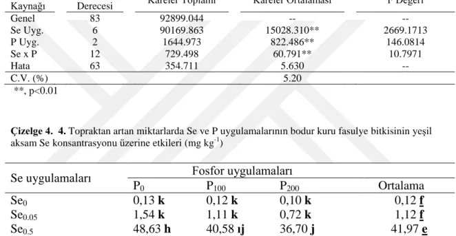Çizelge 4.  4. Topraktan artan miktarlarda Se ve P uygulamalarının bodur kuru fasulye bitkisinin yeĢil  aksam Se konsantrasyonu üzerine etkileri (mg kg -1 ) 