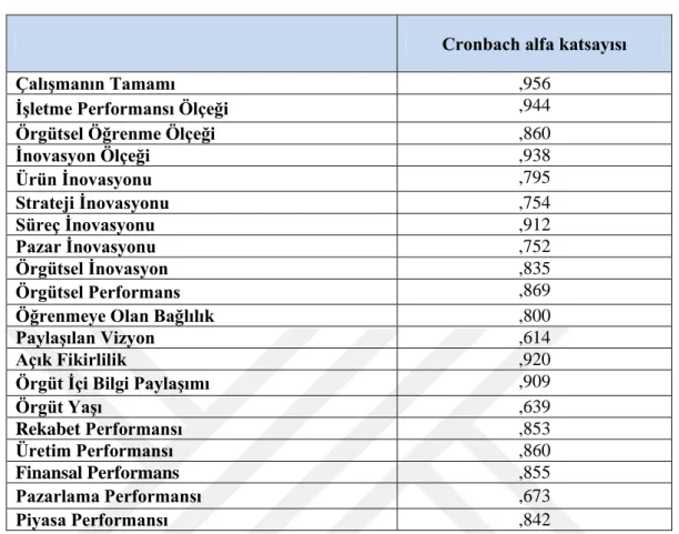 Tablo 4.3. Güvenilirlik Analizi 