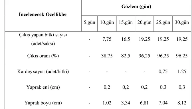 Çizelge 4.1. 1 numaralı genotipten alınan gözlem ve ölçümlerin ortalama değerleri  