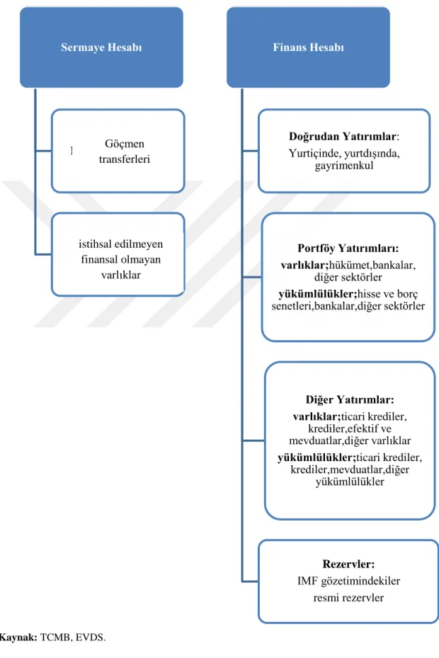 Tablo 5: Sermaye ve Finans Hesaplarının Özeti 