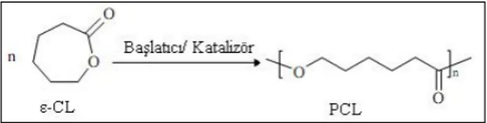 Şekil 1.4. Polikaprolakton zincirinin görünümü. 