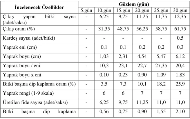 Çizelge 4.1. Domuz ayrığı 1 numaralı genotipten alınan gözlem ve ölçümler. 