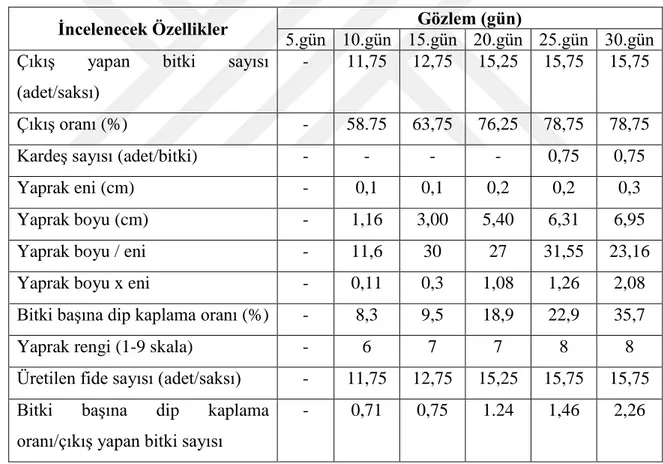 Çizelge 4.4. Domuz ayrığı 4 numaralı genotipten alınan gözlem ve ölçümler. 