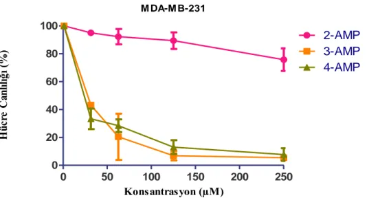 Şekil  3.8.  MDA-MB-231  hücrelerinin  pirindinyum  grubu  ile  fonksiyonlandırılan  2-AMP,  3- 3-AMP, 4-AMP maddeleri ile 24 saat muamelesi sonucunda elde edilen XTT analiz sonuçları