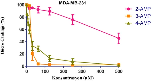 Şekil  3.10.  MDA-MB-231  hücrelerinin  2-AMP,  3-AMP,  4-AMP  maddeleri  ile  24  saat  muamelesi sonucunda elde edilen XTT analiz sonuçları