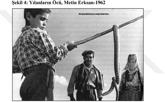 Şekil 4: Yılanların Öcü, Metin Erksan-1962 