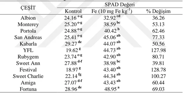 Çizelge 4. 2. Farklı çilek çeşitlerinin kontrol ve Fe (10 mg kg -1 ) uygulamalarının ilk çiçeklenme  dönemine ait SPAD değerleri 