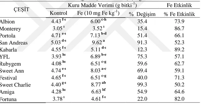 Çizelge 4. 14. Farklı çilek çeşitlerinin kontrol ve Fe (10 mg kg -1 ) uygulamalarında tam çiçeklenme  dönemine ait kuru madde verimi (g bitki -1 ) ve Fe etkinlik (%) değerleri 