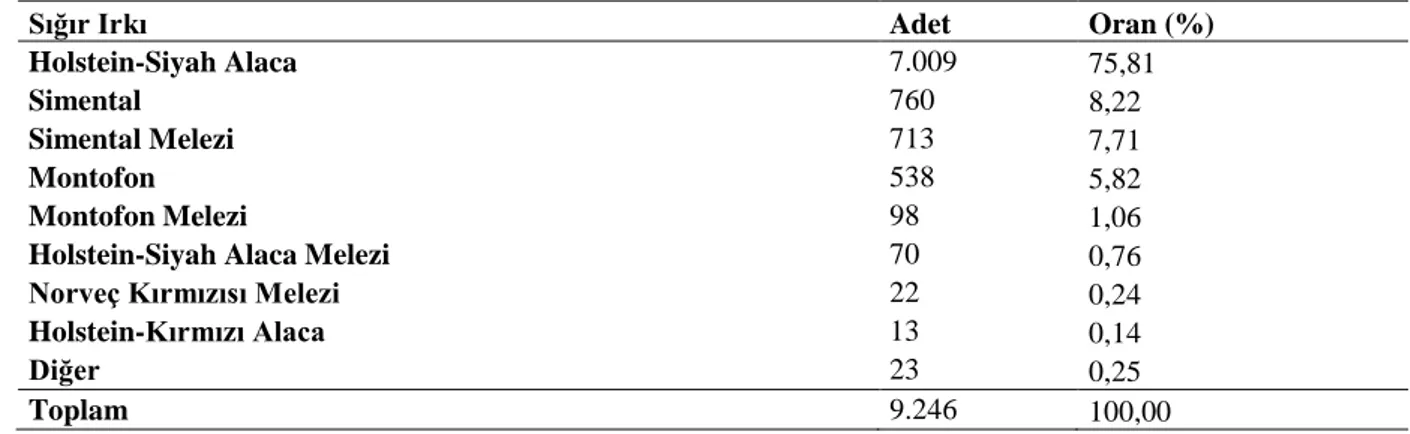 Çizelge  3.3.    Güneysınır  ilçesinde  faaliyet  gösteren  işletmelerin  büyükbaş  hayvanların  ırklara  göre  dağılımı  (HAYBİS, 2018) 