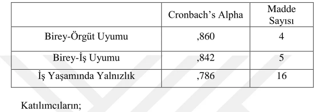 Tablo  2:  Birey-Örgüt  Uyumu,  Birey-İş  Uyumu  ve  İşyeri  Yalnızlığı  Üzerindeki  Etkisi Ölçeklerine Ait Güvenilirlik Analizleri 