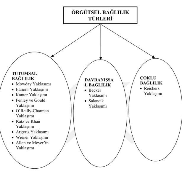 Şekil 2. Örgütsel Bağlılığın Sınıflandırılması 