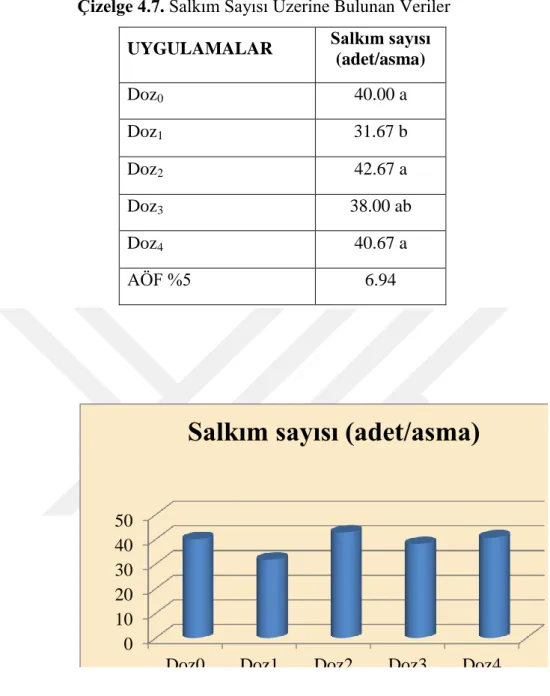 Çizelge  4.8.’e  göre,  uygulamaların  etkisi  önemlidir.  En  fazla  salkım  ağırlığı  678.14  g  (Doz3)’de,  en  az  418.45  g  (Doz  1),  460.33  g  (Doz  0),  475.48  g  (Doz  4)  ve  505.07  g  (Doz  2)’de  bulunmuştur