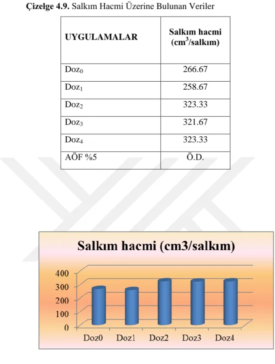 ġekil 7. Salkım Hacmi Üzerine Uygulamaların Etkisi  