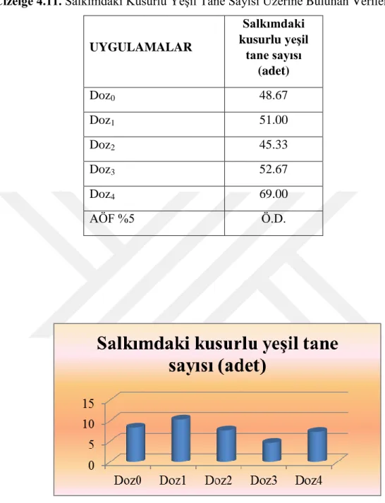 Çizelge 4.11. Salkımdaki Kusurlu Yeşil Tane Sayısı Üzerine Bulunan Veriler  UYGULAMALAR  Salkımdaki  kusurlu yeĢil  tane sayısı  (adet)  Doz 0 48.67  Doz 1    51.00  Doz 2    45.33  Doz 3 52.67  Doz 4  69.00  AÖF %5  Ö.D