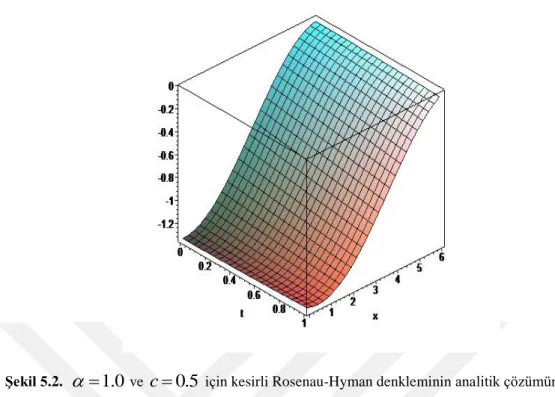Şekil 5.2.    = 1.0  ve  c = 0.5  için kesirli Rosenau-Hyman denkleminin analitik çözümünün grafiği 