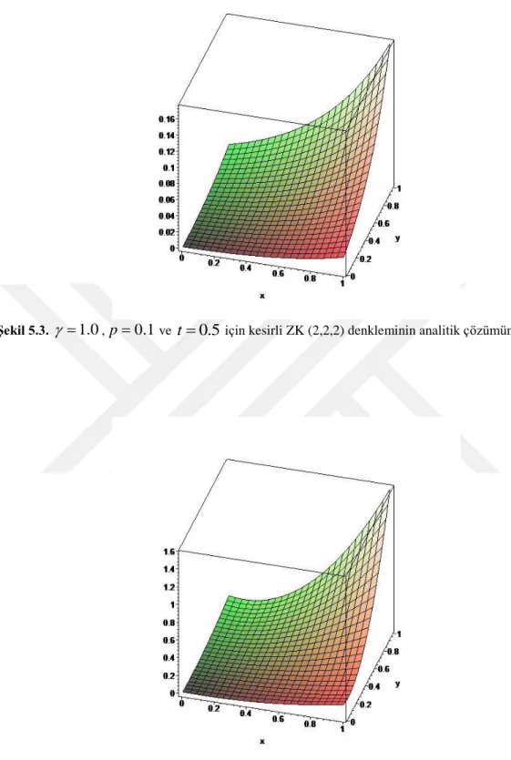 Şekil 5.4.   = 1.0 , p = 0.1  ve  t = 0.5  için kesirli ZK (2,2,2) denkleminin yaklaşık çözümünün grafiği 