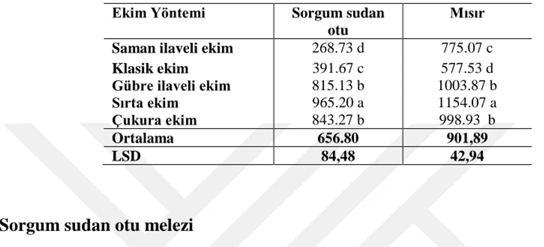 Çizelge  4.15'  den  de  görülebileceği  gibi  sorgum  sudan  otu  melezinde  en  fazla  ortalama bitki ağırlığı sırta ekim (a) yönteminde görülmüştür