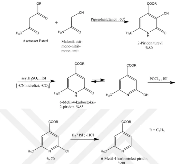 Şekil 1.10. Asetoasit esteri ile malonik asit mono-nitril-monoamid bileşiğinin bazik ortamda reaksiyonu 