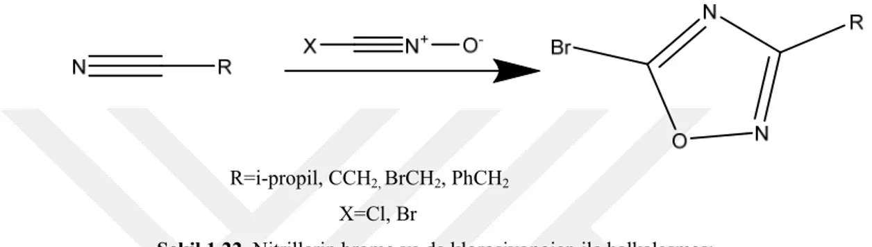 Şekil 1.23. PTSA, ZnCl 2  katalizli 1,2,4-oksadiazol sentezi