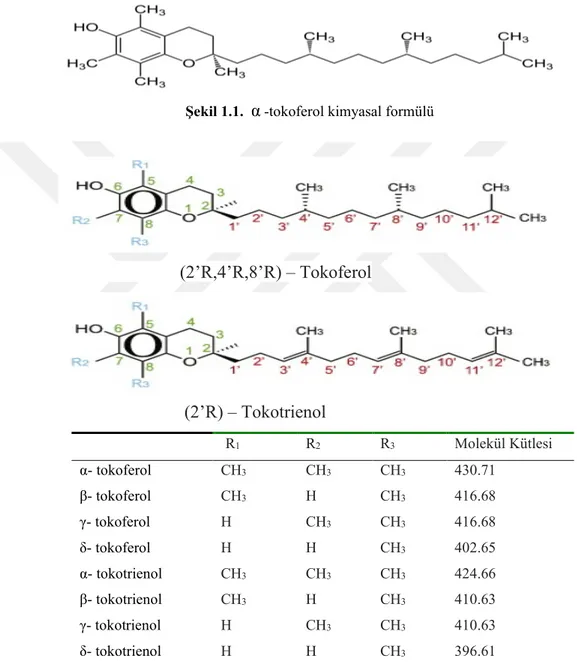 Şekil 1.1.   α  -tokoferol kimyasal formülü 