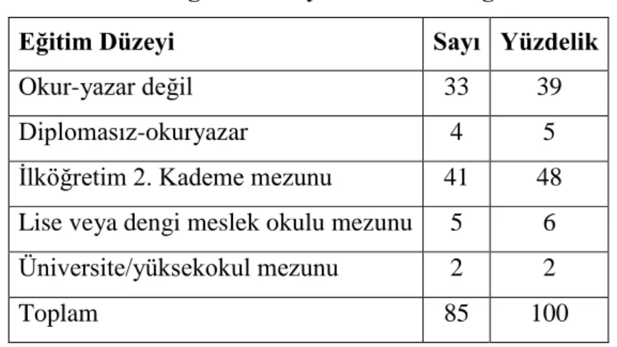 Tablo 7: Eğitim Düzeylerine Göre Dağılımı 