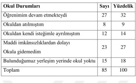 Tablo 8: Okul Durumlarının Dağılımı 