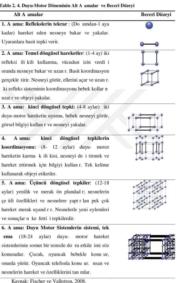 Tablo 2. 4. Duyu-Motor Döneminin Alt Aşamaları ve Beceri Düzeyi 