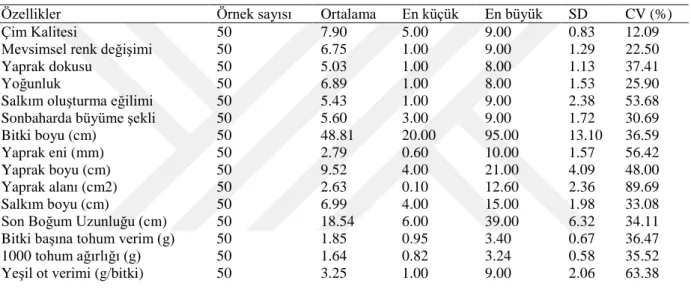Çizelge 4.1. Festuca arundinacea Schreb. Genotiplerinden Alınan Bazı Özelliklerin Ortalama, En Küçük, En  Yüksek, Standart Sapma (SD) ve değiĢim katsayısı (CV) değerleri 