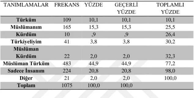 TABLO 18: Katılımcıların Kendilerini Tanımlamaları. 