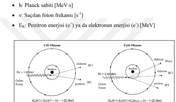 Şekil 1.8. Enerjisi yüksek olan fotonların çekirdeğin güçlü elektrik alanına girdiğinde görülen çift ve  üçlü oluşum (Podgoršak, 2014) 