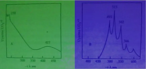 Şekil 2.10. Uranil nitrat [UO 2  (NO 3 ) 2 ] çözeltisinin emisyon spektrumu 