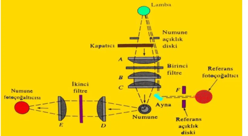 Şekil 2.12. Basit bir filtreli florimetre 